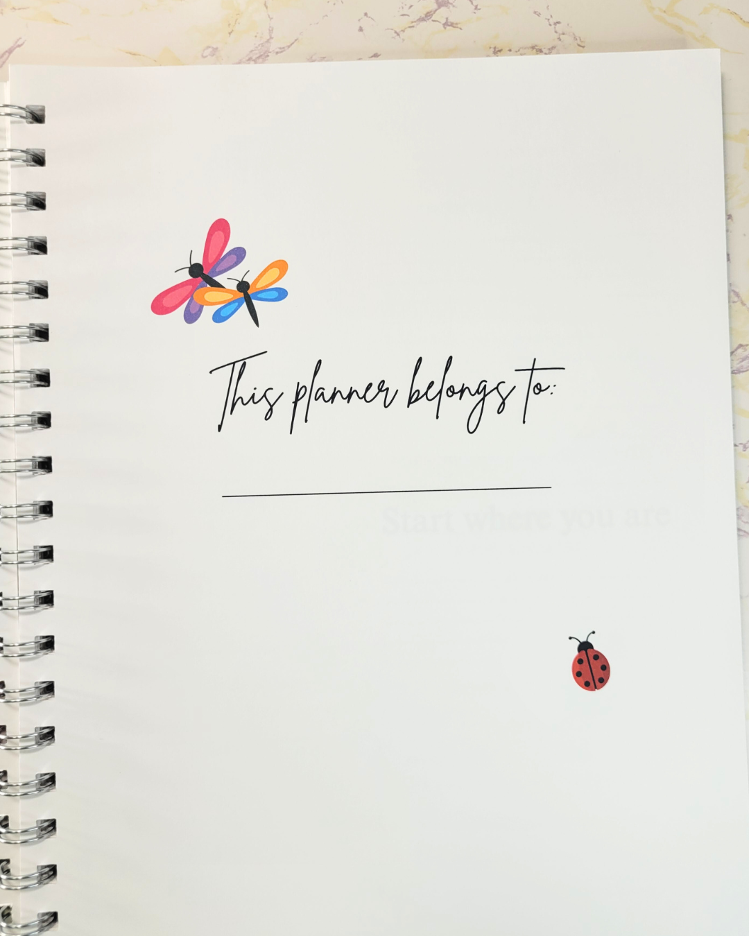 100 Days Undated Planner